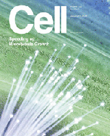 brouhard-Cell-XMAP215-2008