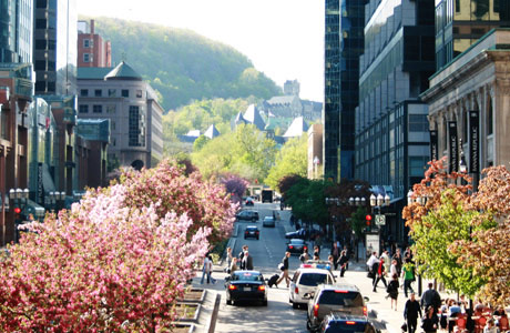montreal-street-460
